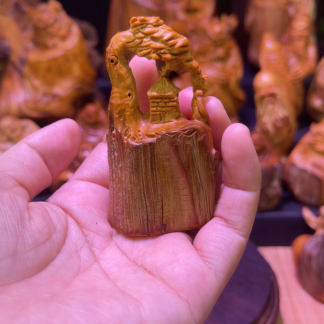 柏木88888888888888888898