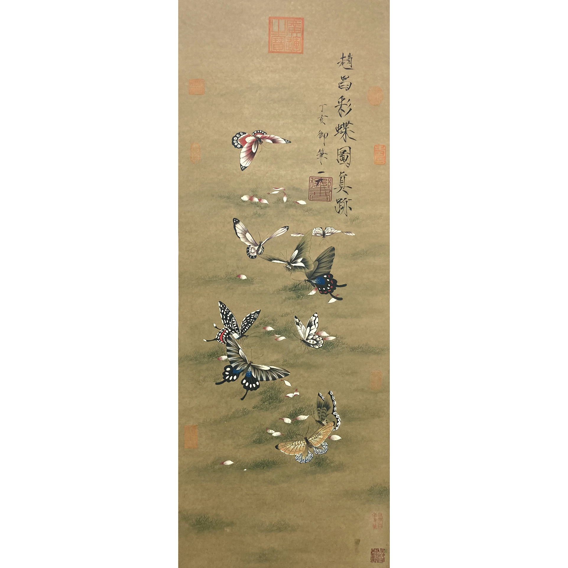 LOT27 赵老【蝶舞】立轴 124*47cm  约5.2平尺