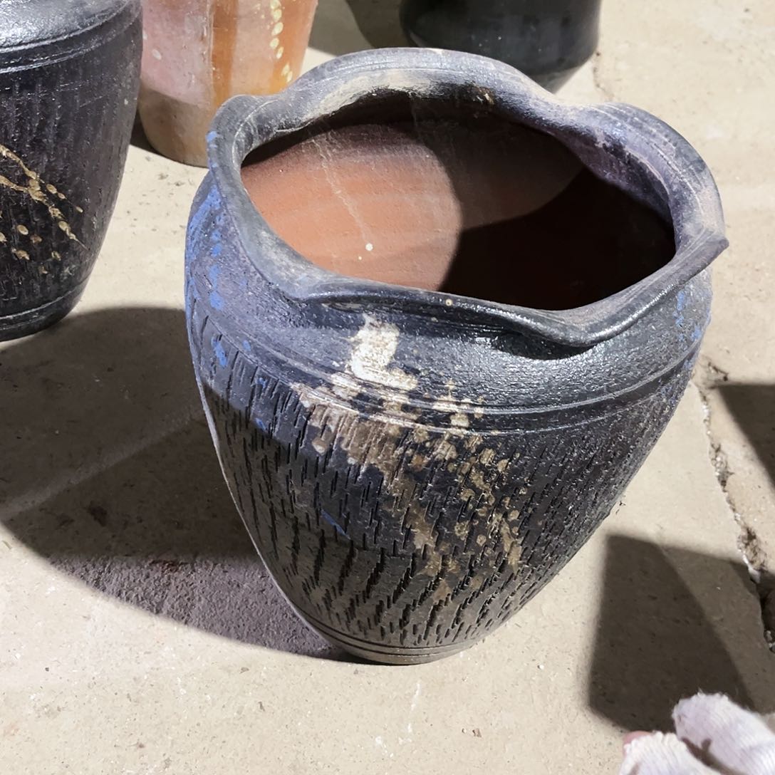 紫砂花盆花盆里的小猫咪