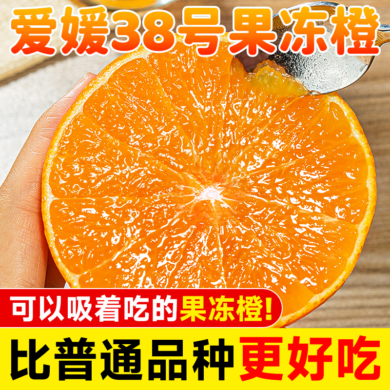 四川眉山爱媛38号果冻橙新鲜橙水果子当季整箱批发四川应季甜