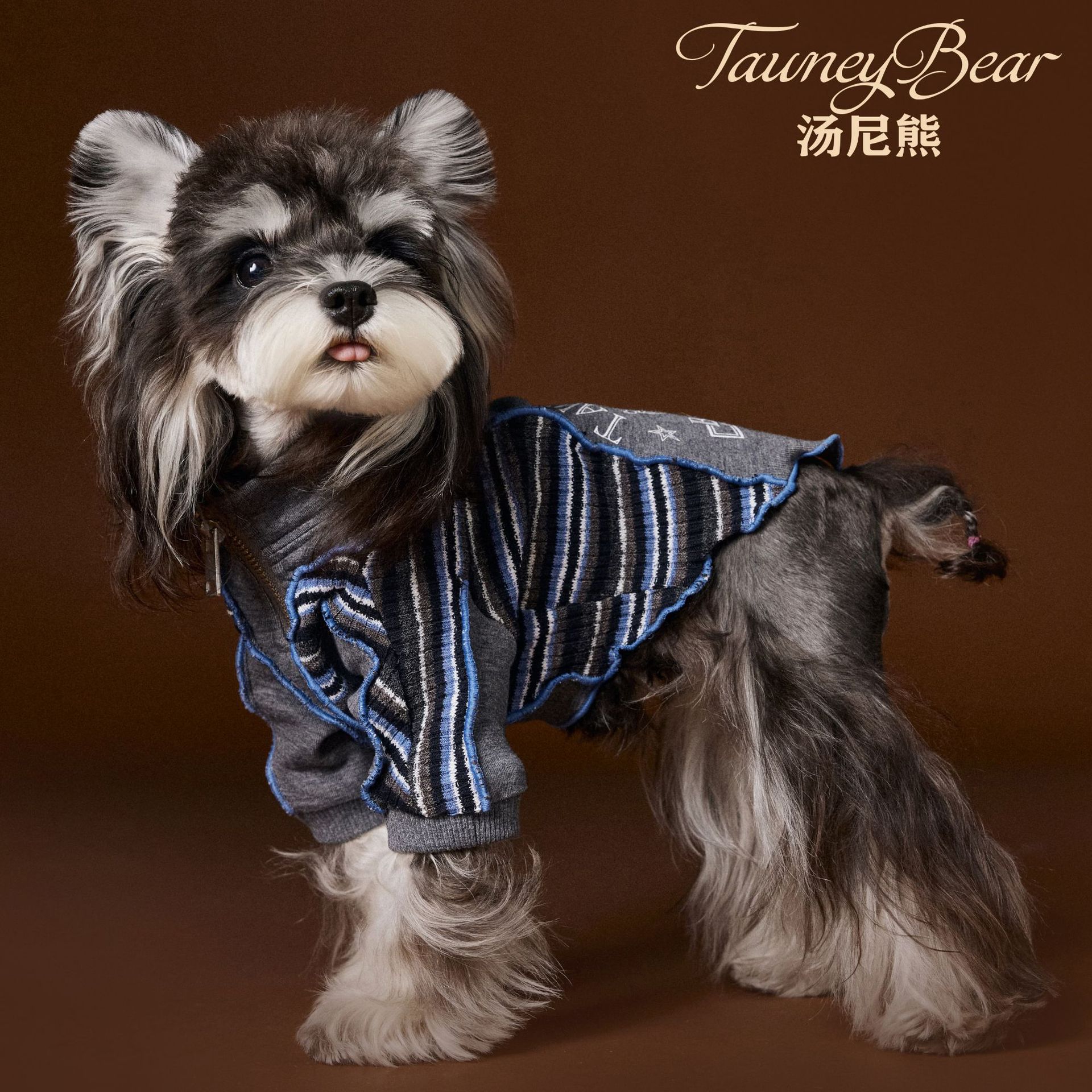 汤尼熊狗狗衣服秋装运动装雪纳瑞泰迪比熊约克夏条纹拼接拉链卫衣