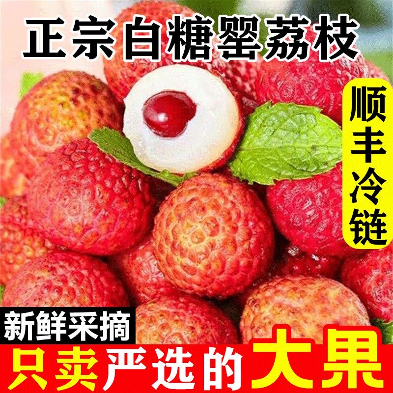 【顺丰京东冷链】正宗茂名高州白糖罂荔枝现摘现发坏果包赔B