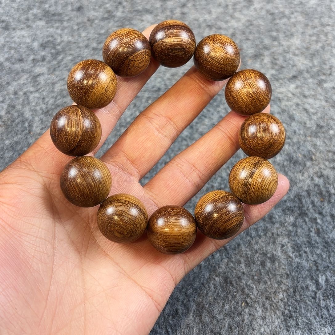 贡木巴布亚新几内亚贡木满金星2.0