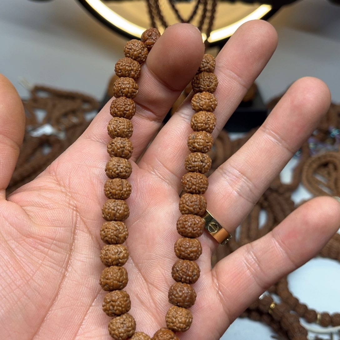 金刚菩提手串?**土毒药龙鳞