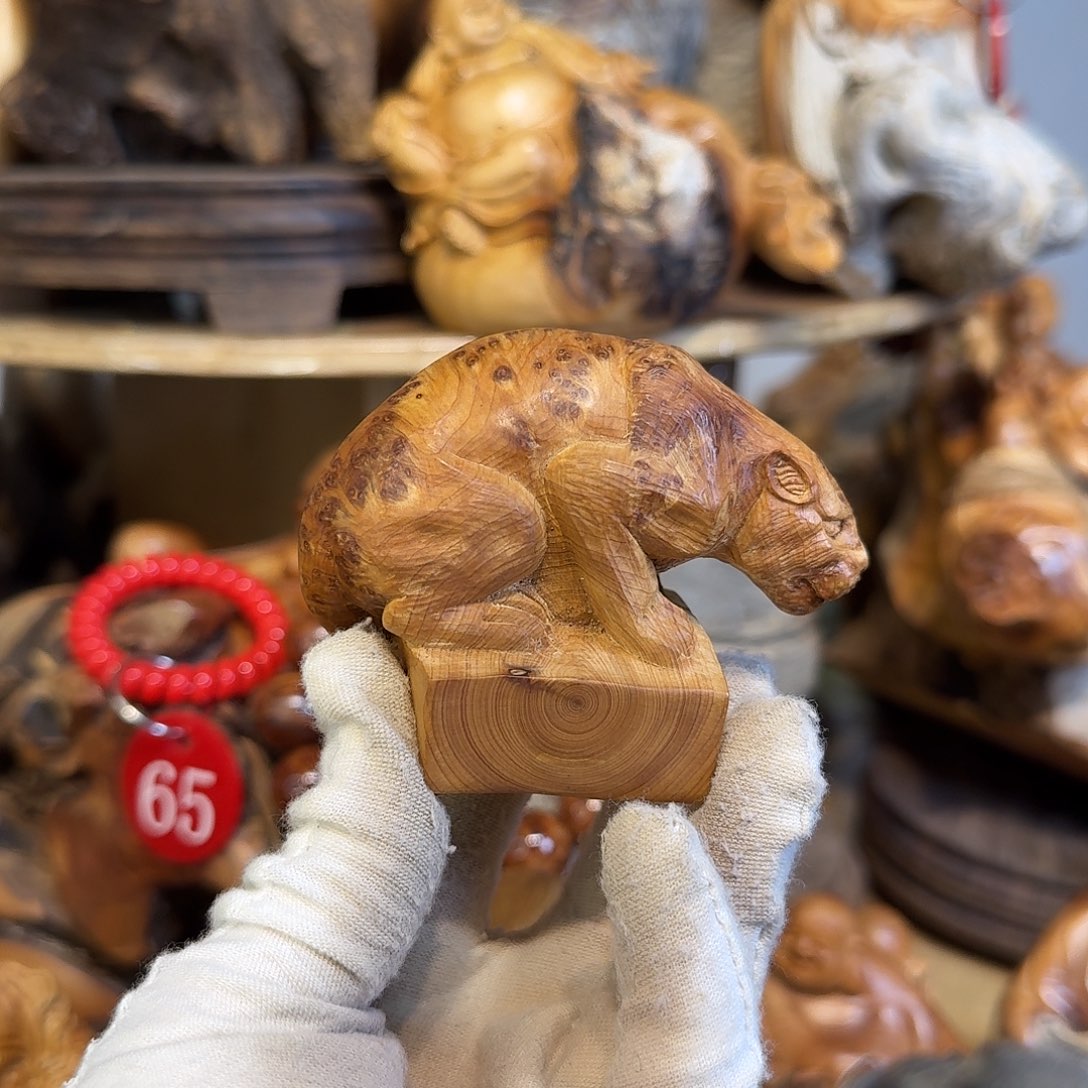 柏木（崖柏）66666666