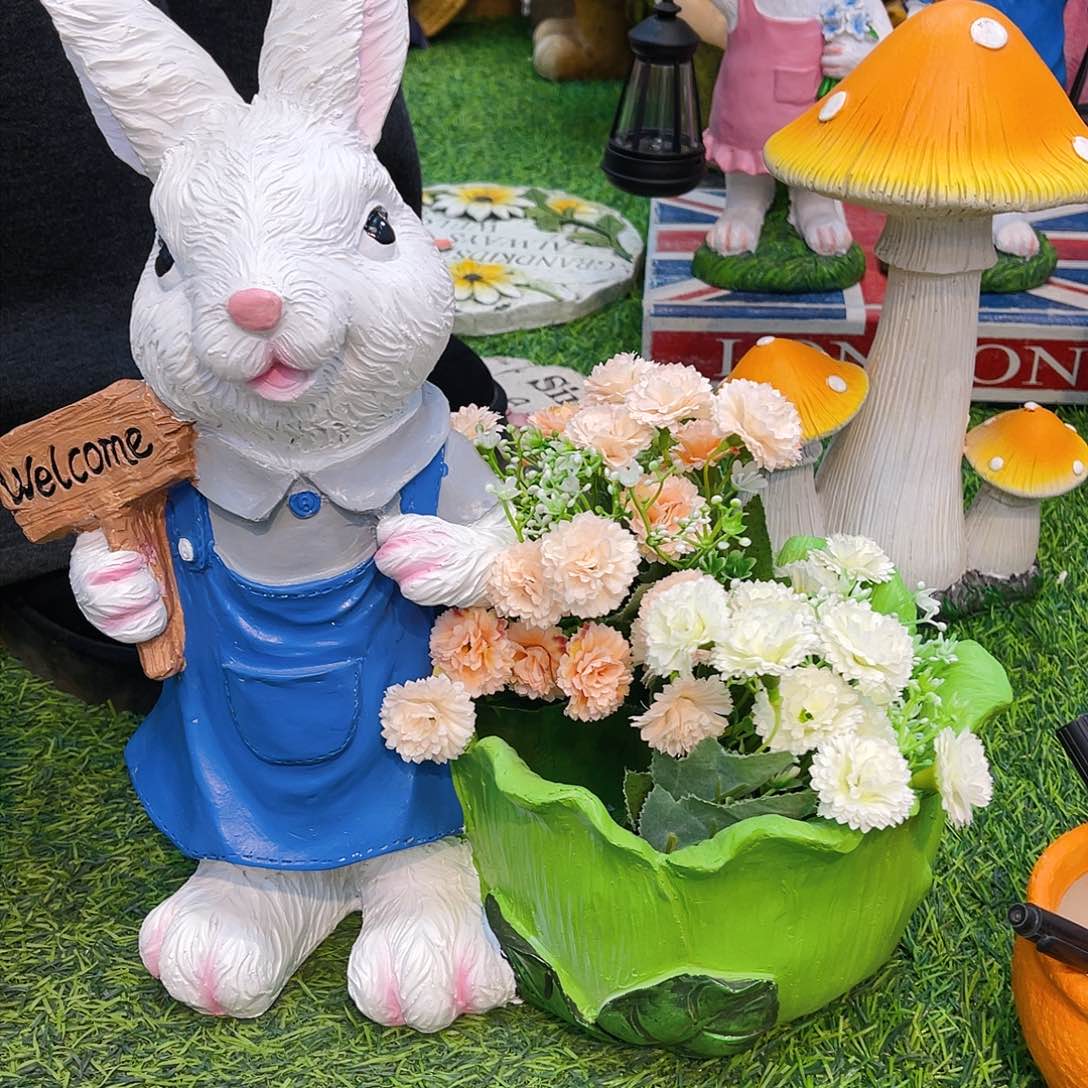 【闪购商品】红陶                    