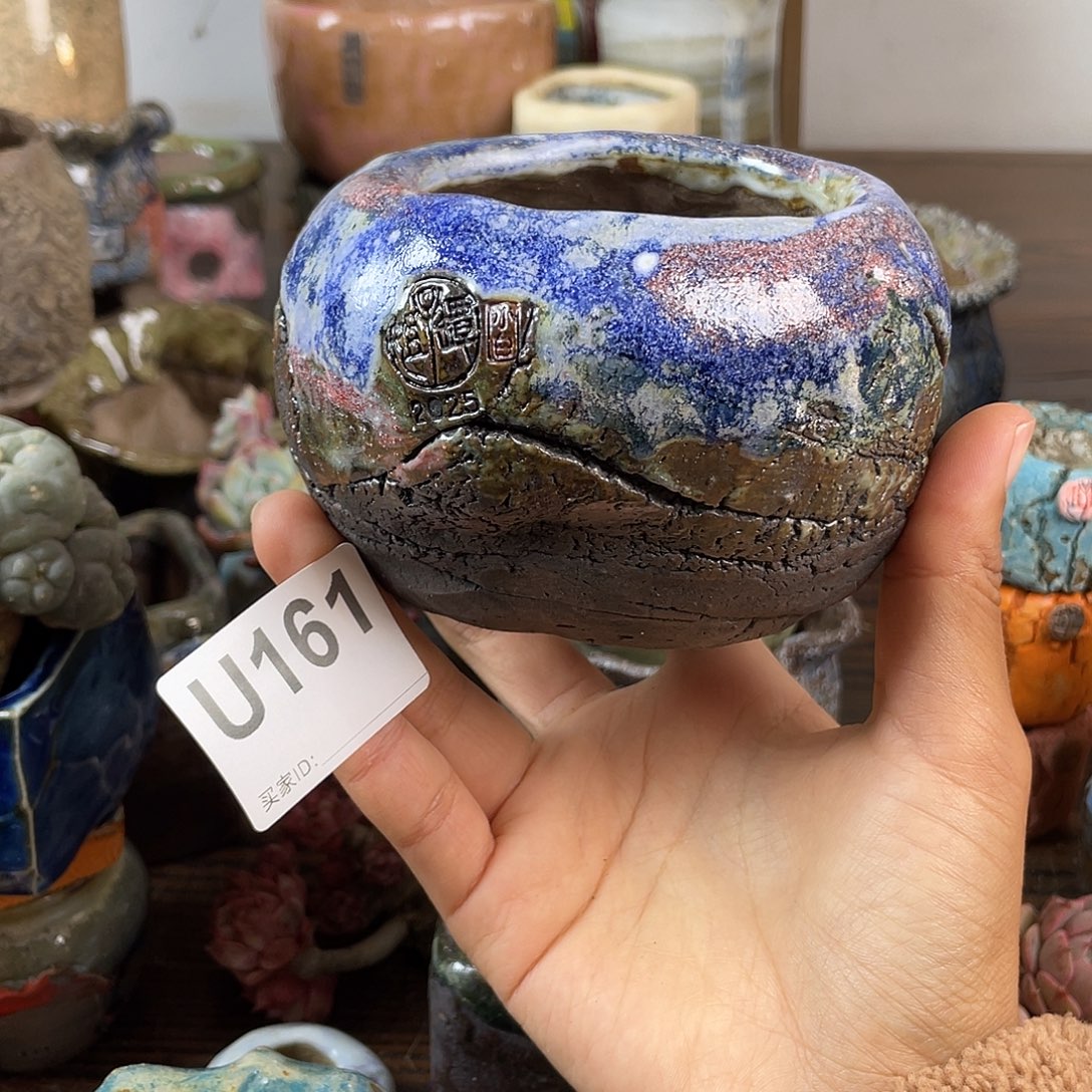 默认微次 跨年福利 坛子姐花盆