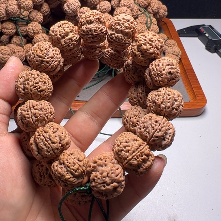吊坠金刚菩提22粗筋双龙