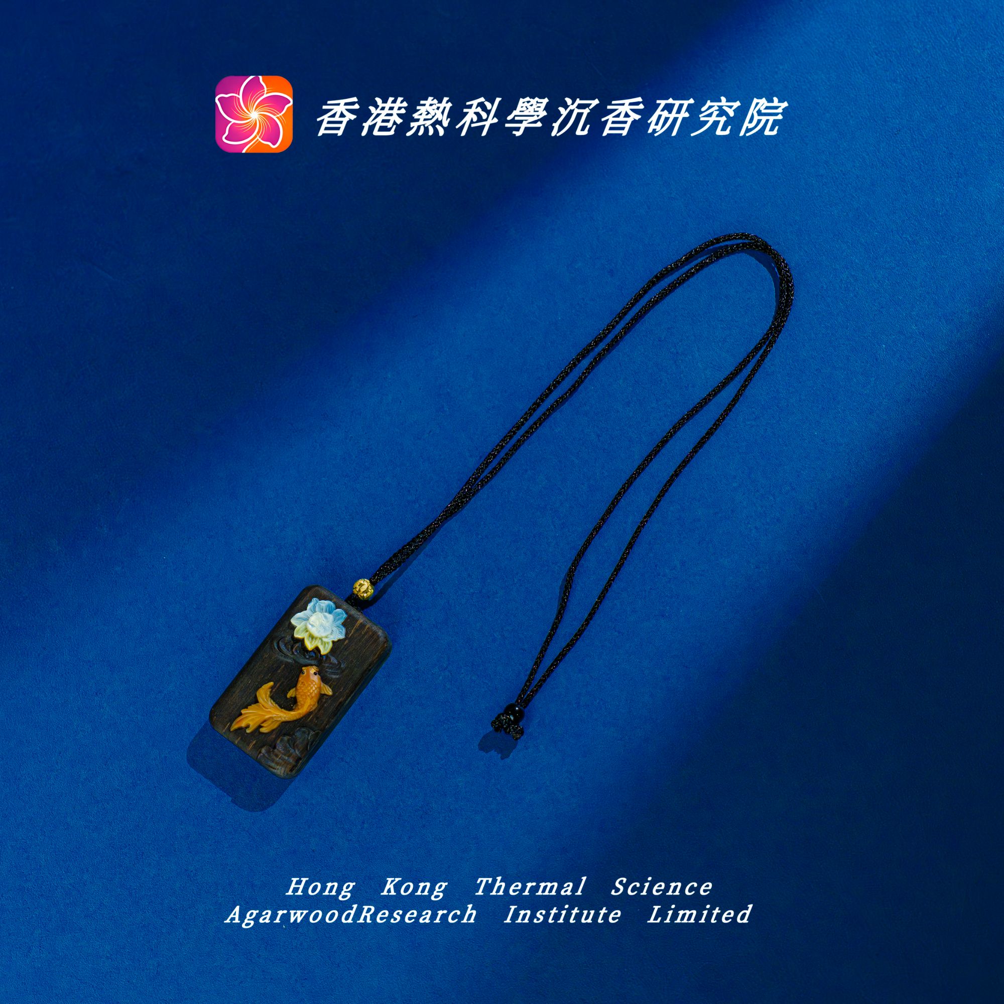 沉香【热科学研究院】越南芽庄白奇好运锦鲤好运连连吊坠