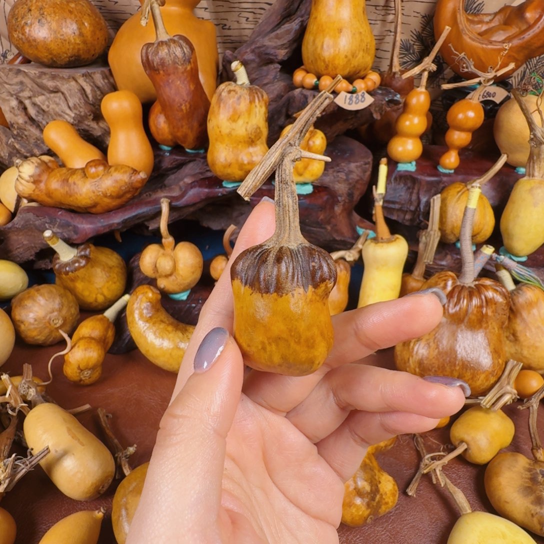 灵***犀从vvvvvv宝贝宝贝宝贝宝贝宝贝