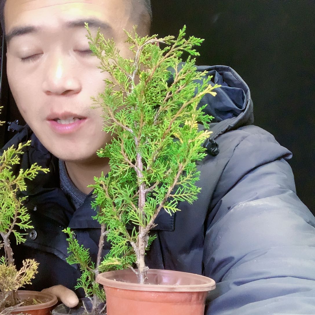 潮***灵222222222222222222