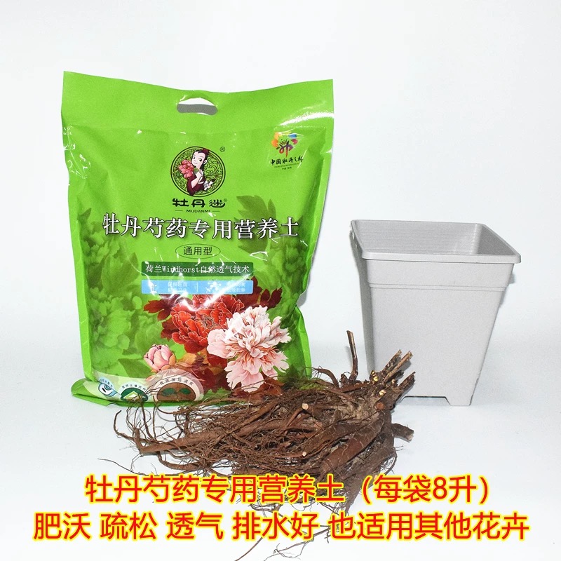 【升级版草炭土】牡丹、芍药、花卉、植物种植草炭土（超透水）