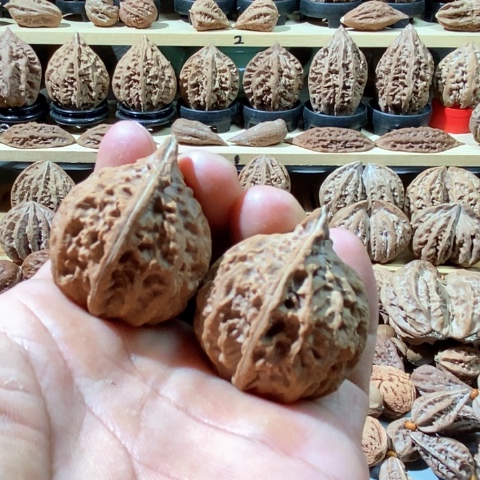 文玩核桃把件独头蒜