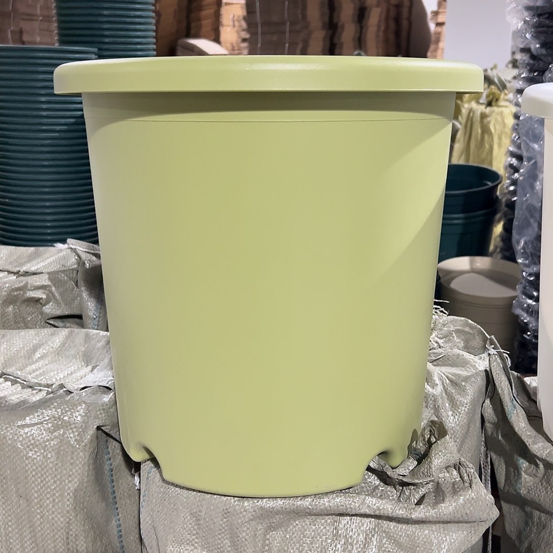 树脂7号绿2个无托