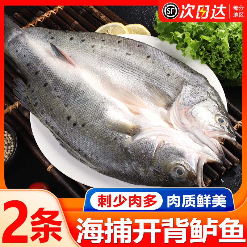 海鲈鱼开背新鲜冷冻海鱼半成品卢鱼深海七星鲈鱼海鲜水产夏季烤鱼