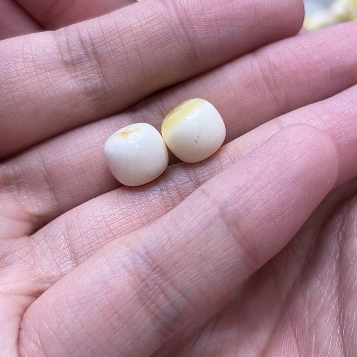 C***n琥珀未镶嵌裸石微瑕