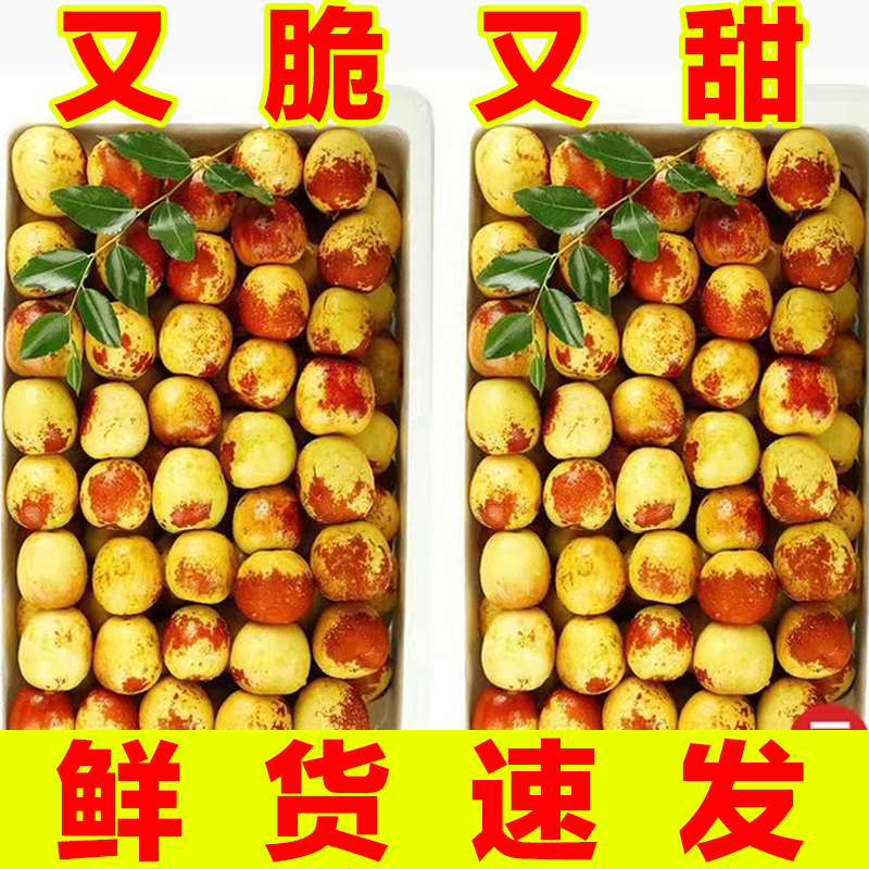 【又脆又甜】正宗沾化冬枣脆甜冬枣新鲜水果鲜枣大枣应季脆枣