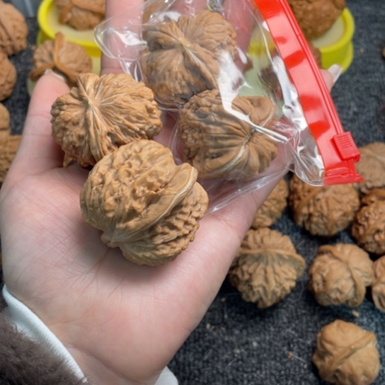 岁***静文玩核桃吊坠21华坤龙