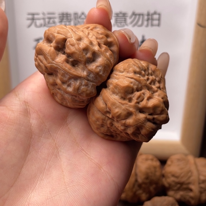 延庆蛤蟆头三角蛙40-41