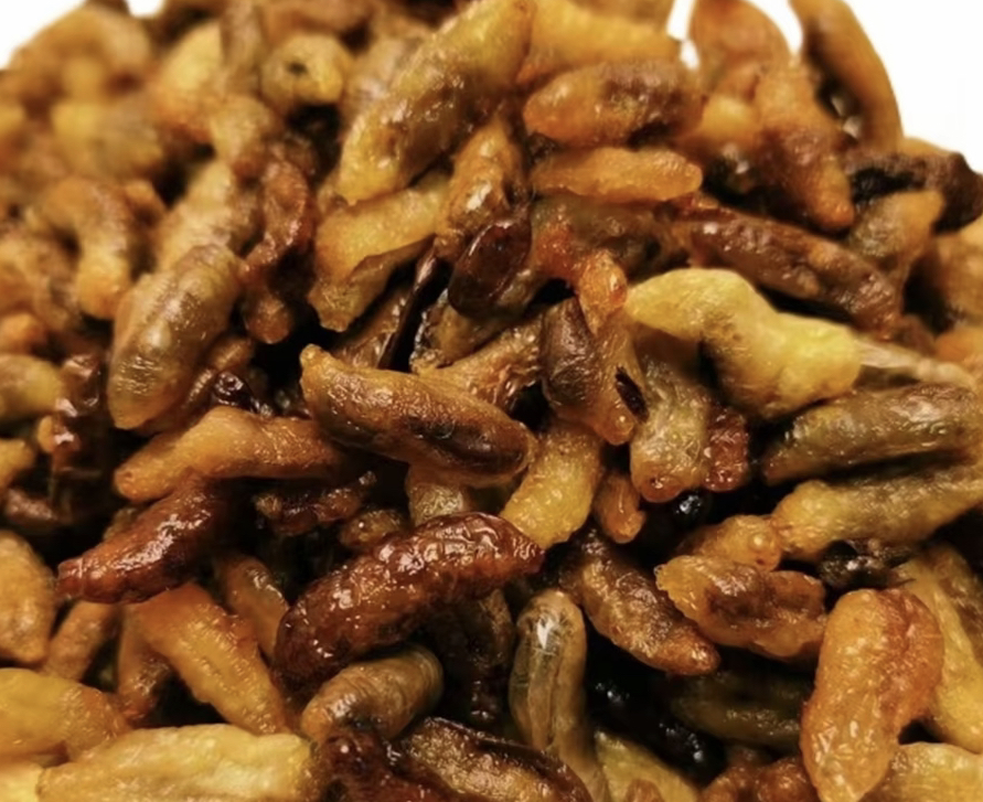 树蜂三级嫩蜂无老蜂蛹含内脏美味下酒菜介意勿拍