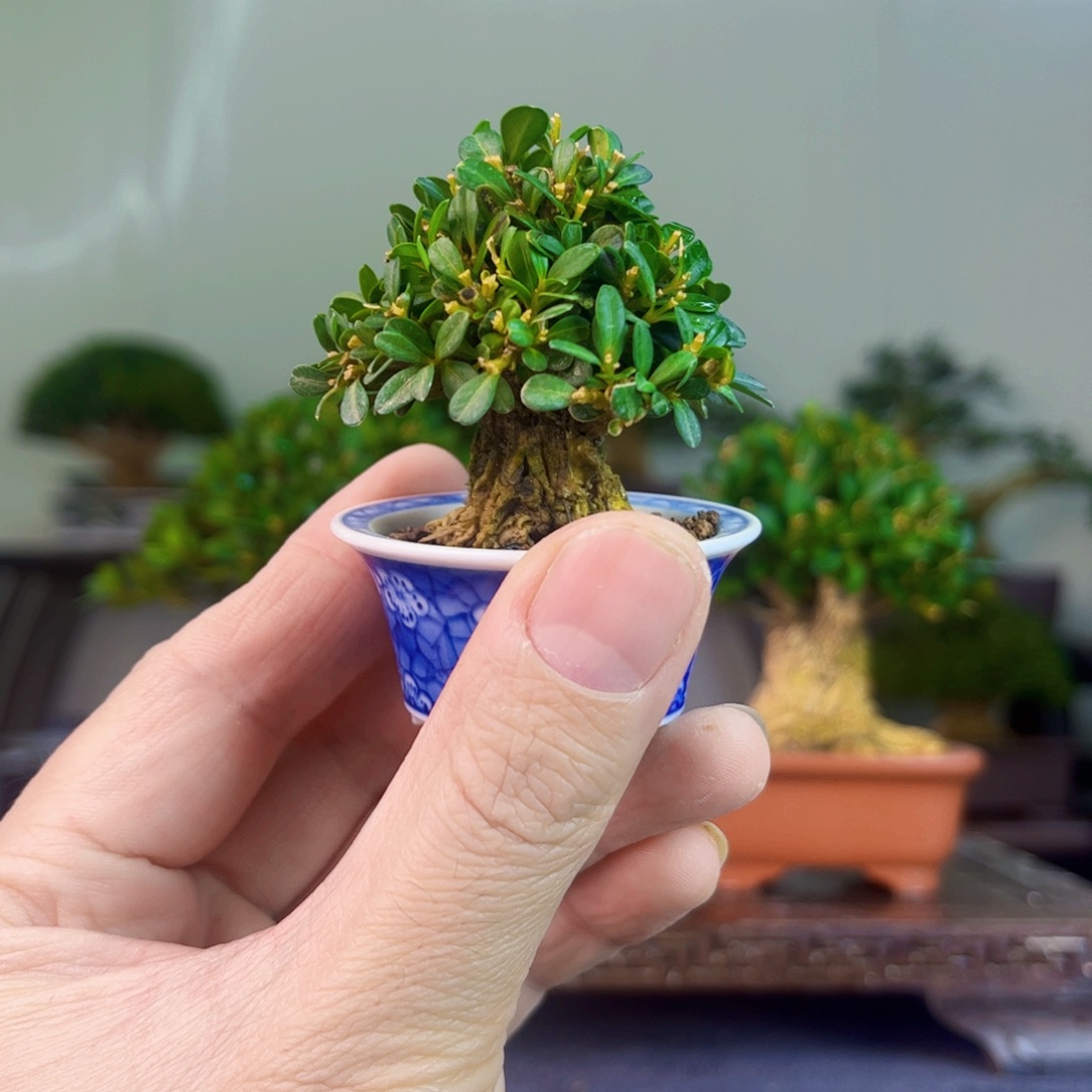 符***生111111111111111111