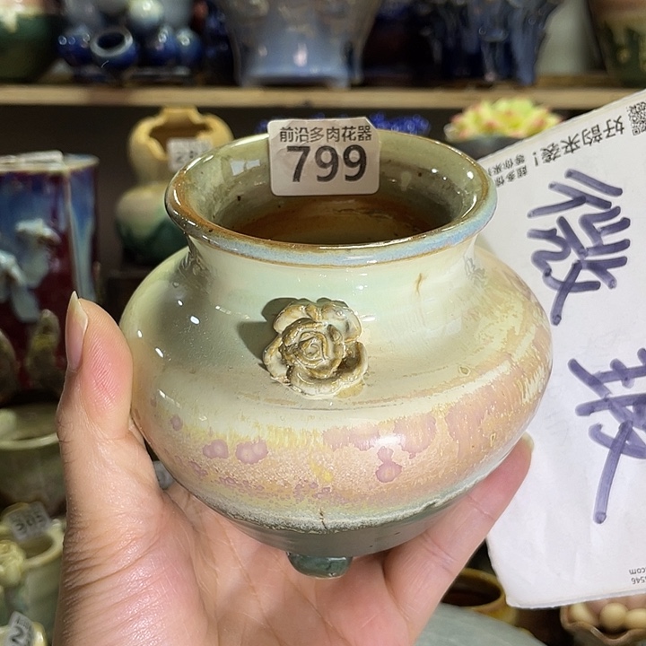 狼盆内口径7高度10