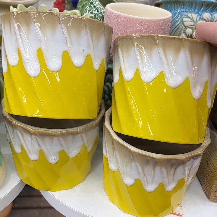 多肉植物陶瓷花盆