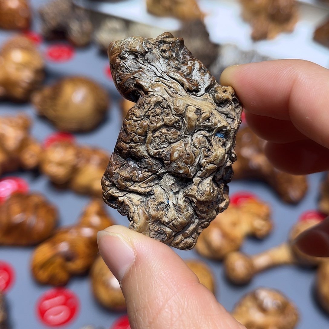 太行崖柏陈华手把