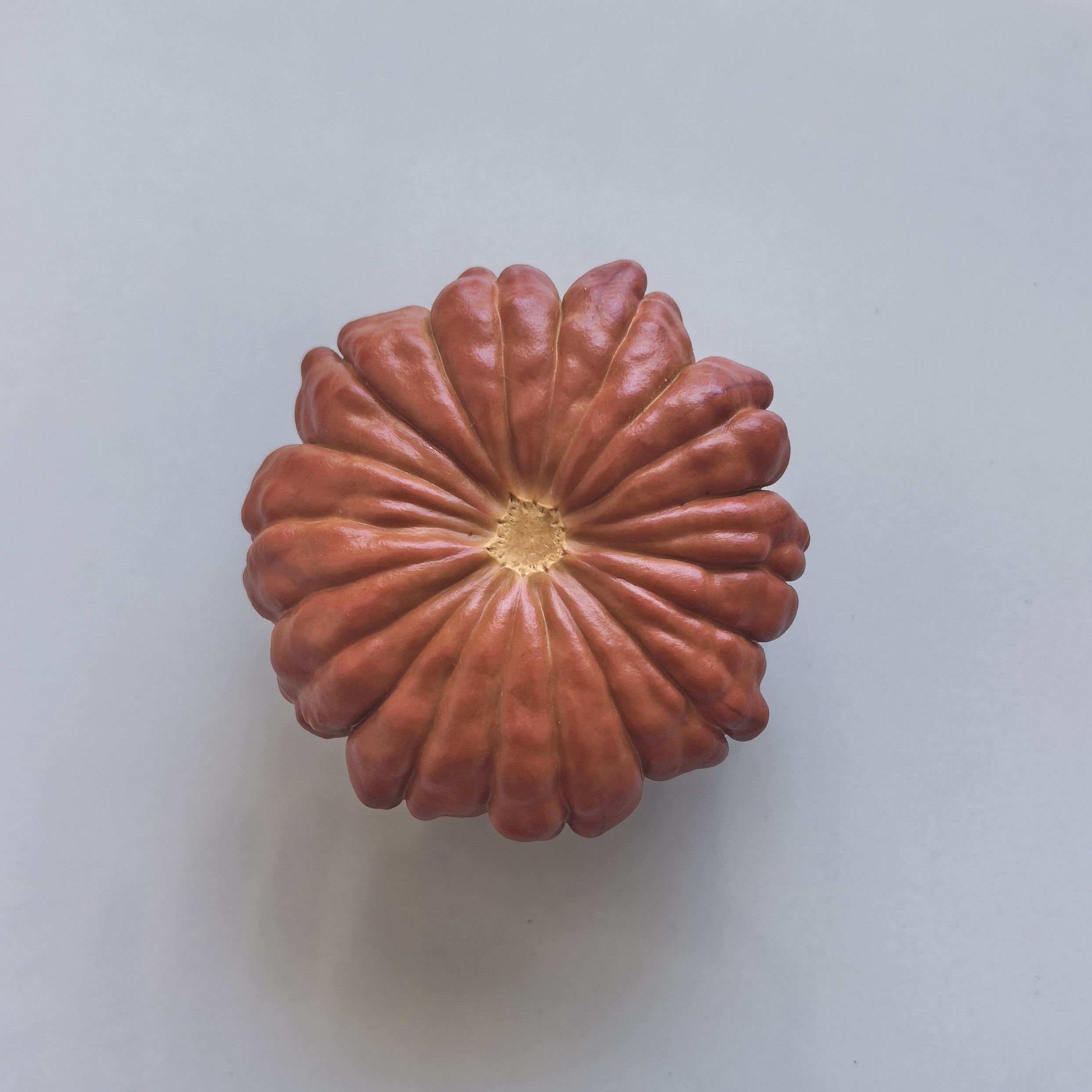 花瓣葫芦，一物一价！