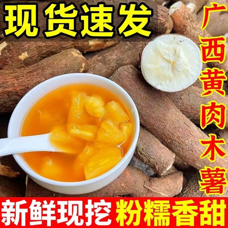 【现货】广西黄肉黄心木薯现挖面包木薯同款糖水店鸡蛋板栗薯新鲜