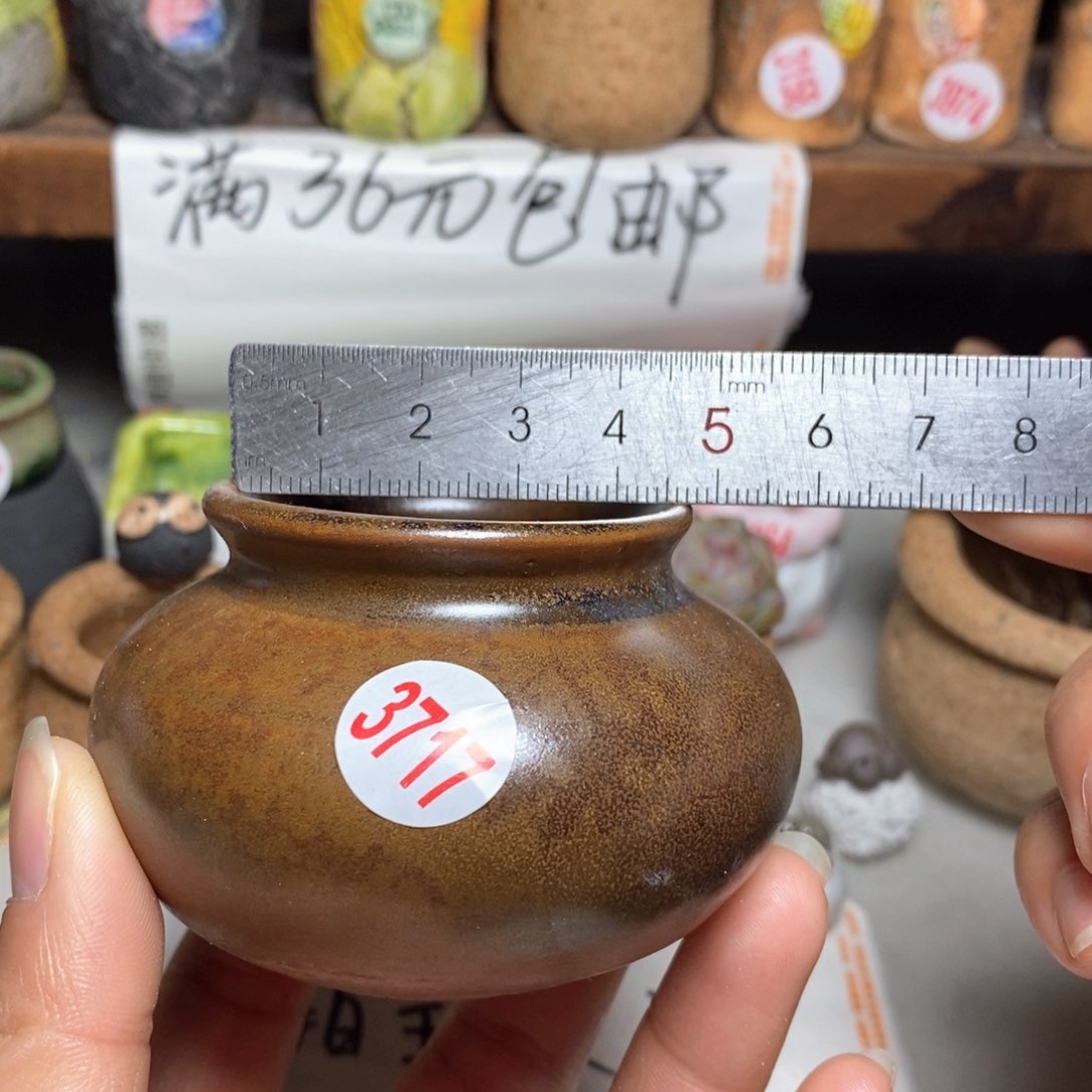 红陶拍5送一个小