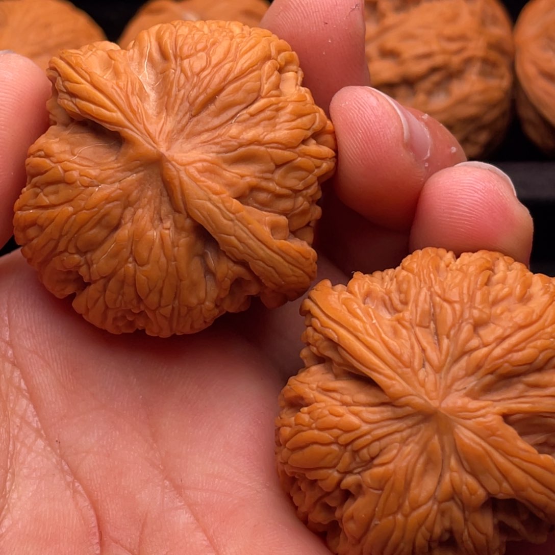 文玩核桃把件秦岭野生核桃