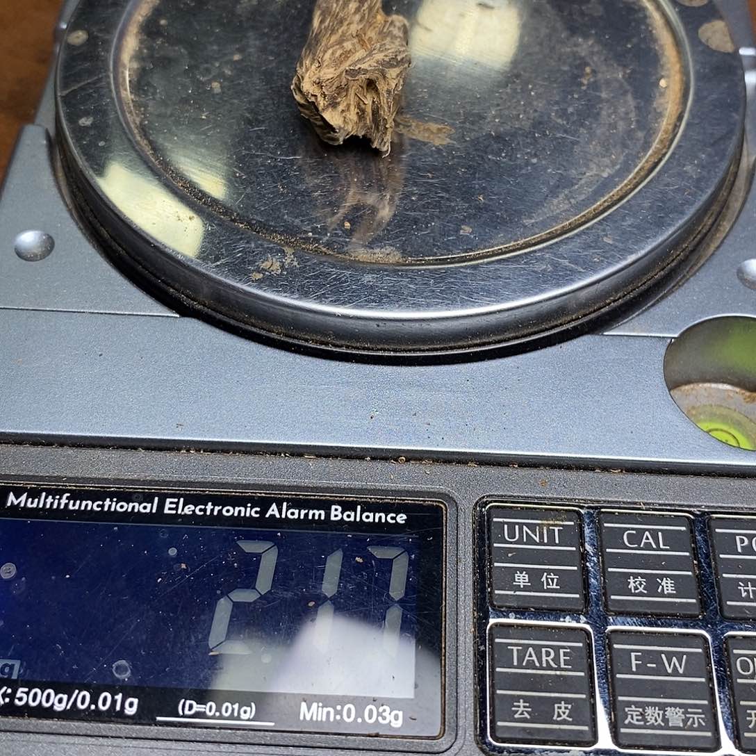 越南广平香料一块（福利1223012