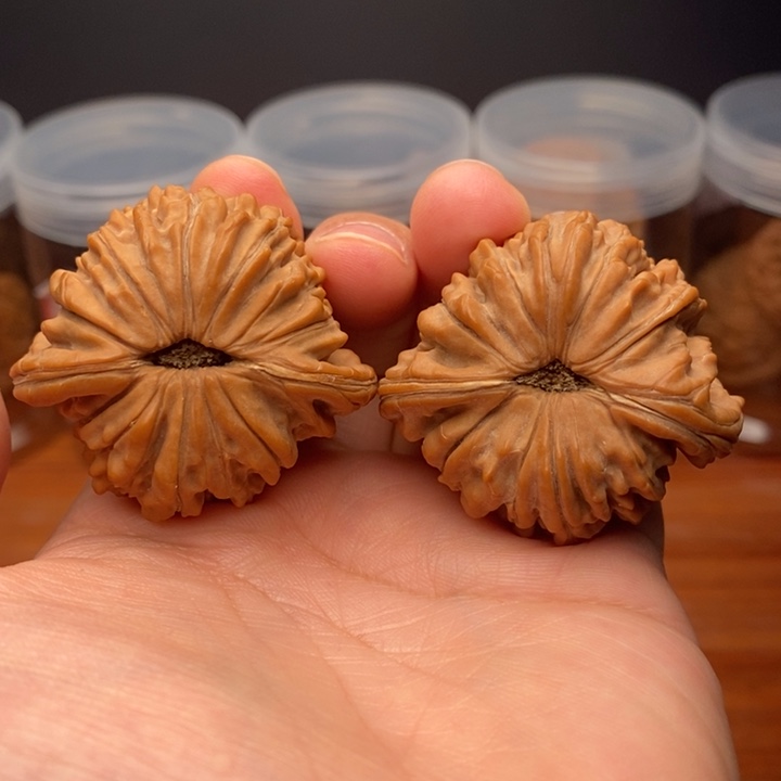 核桃麻核桃四座楼44