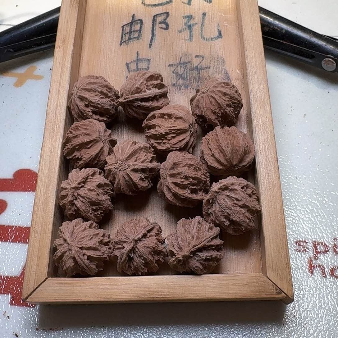 核桃手串/手链108号边肚高26