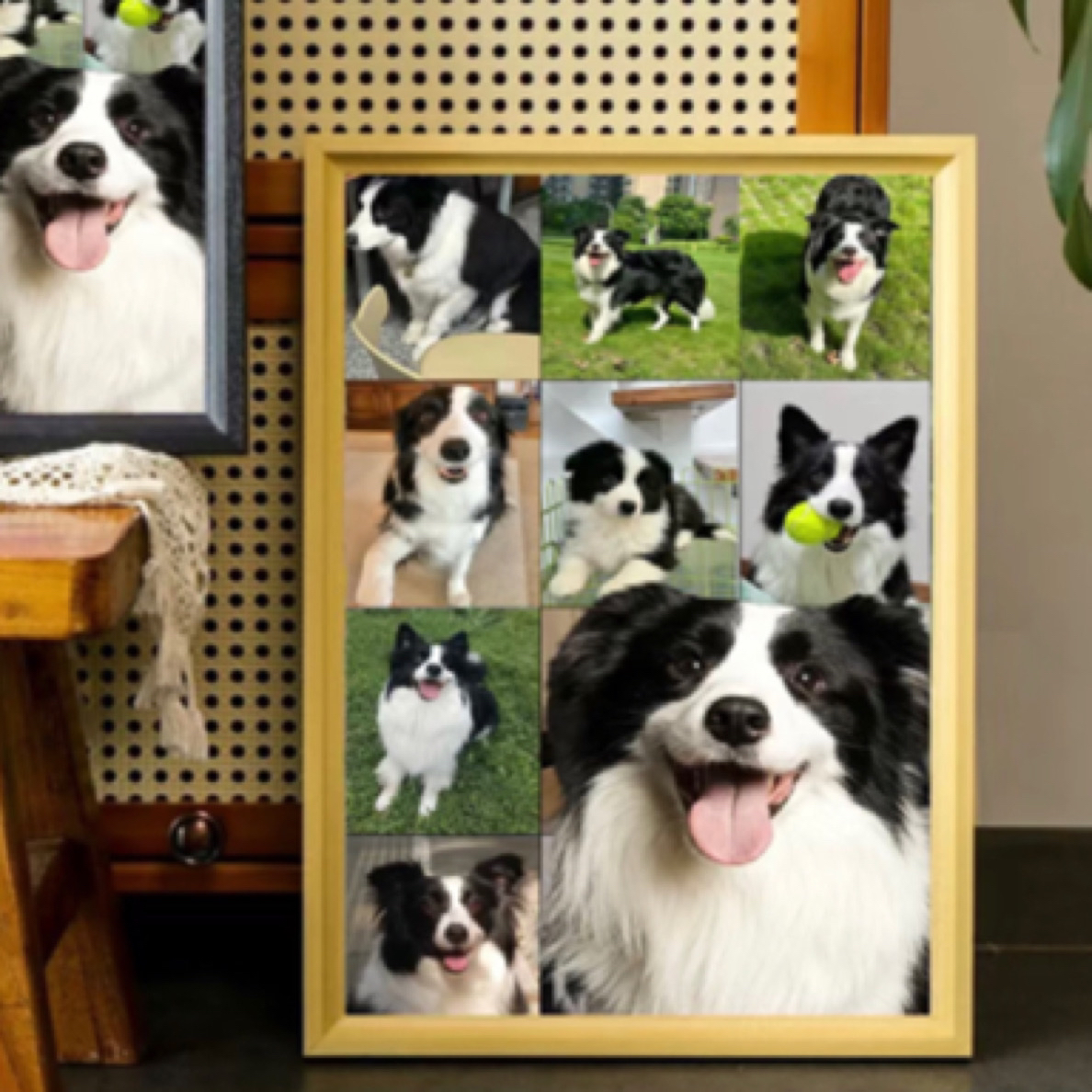 宠物相框相册（定制）边牧，黑白陨石咖啡金边蓝白等边牧