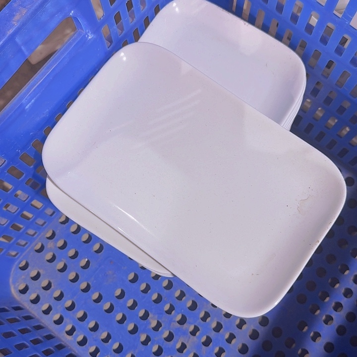 瓷10 英寸 平盘  4 个