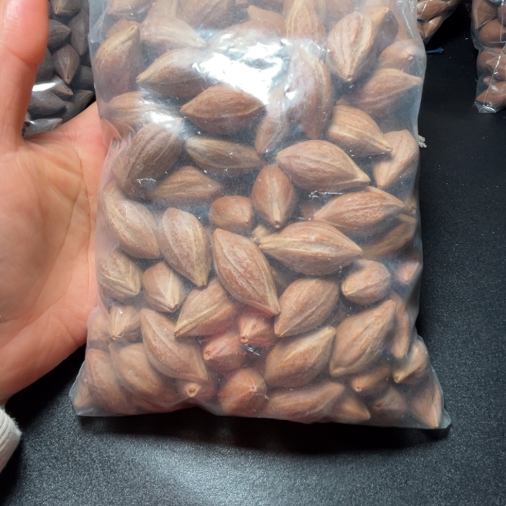 心***除手串/手链猪牙我是
