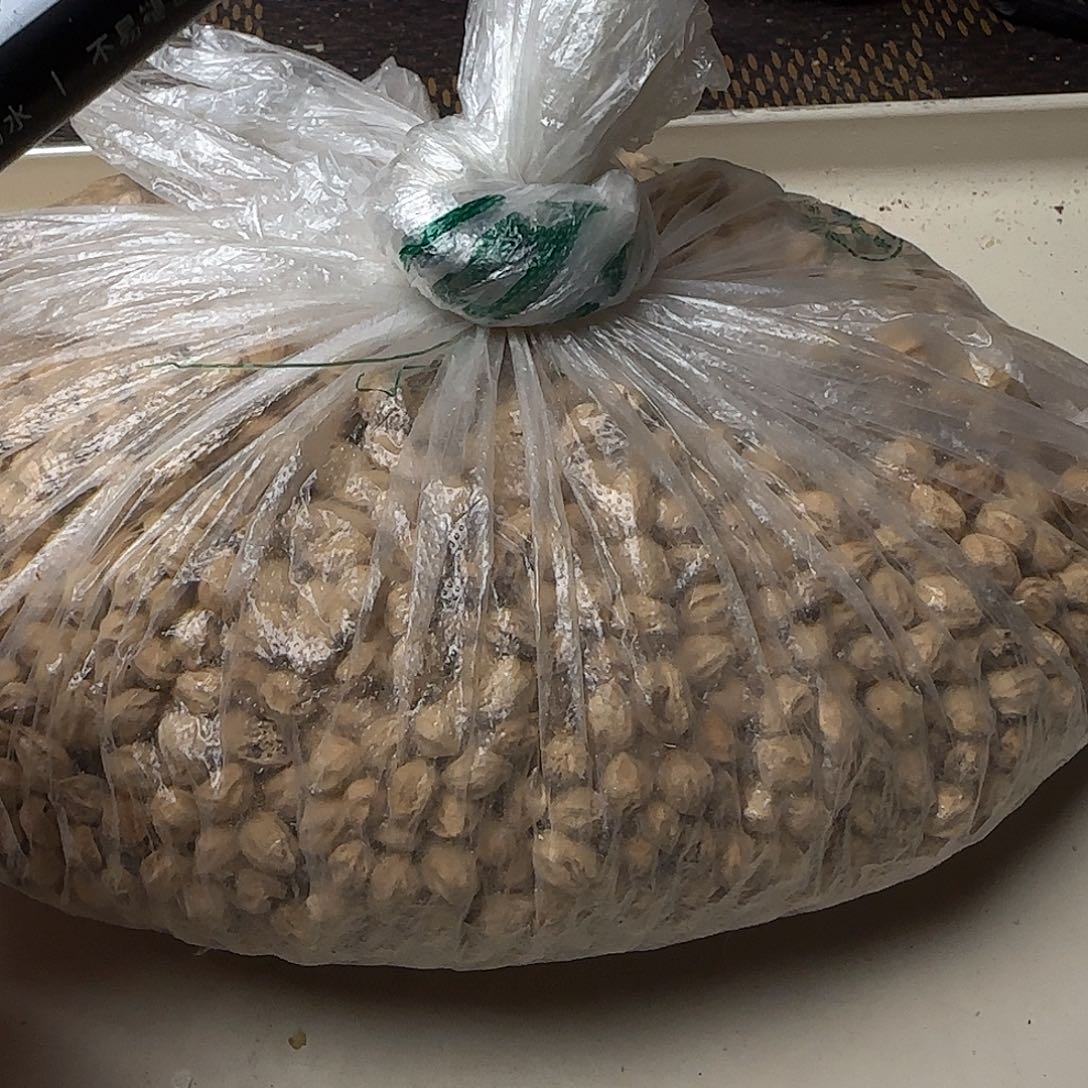 柏香籽/百香籽吊坠