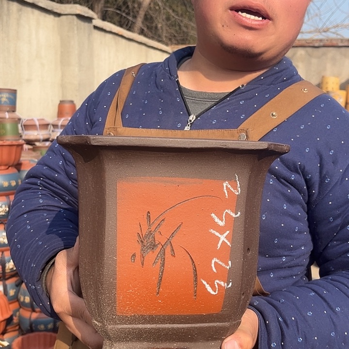 紫砂紫砂花盆盆栽