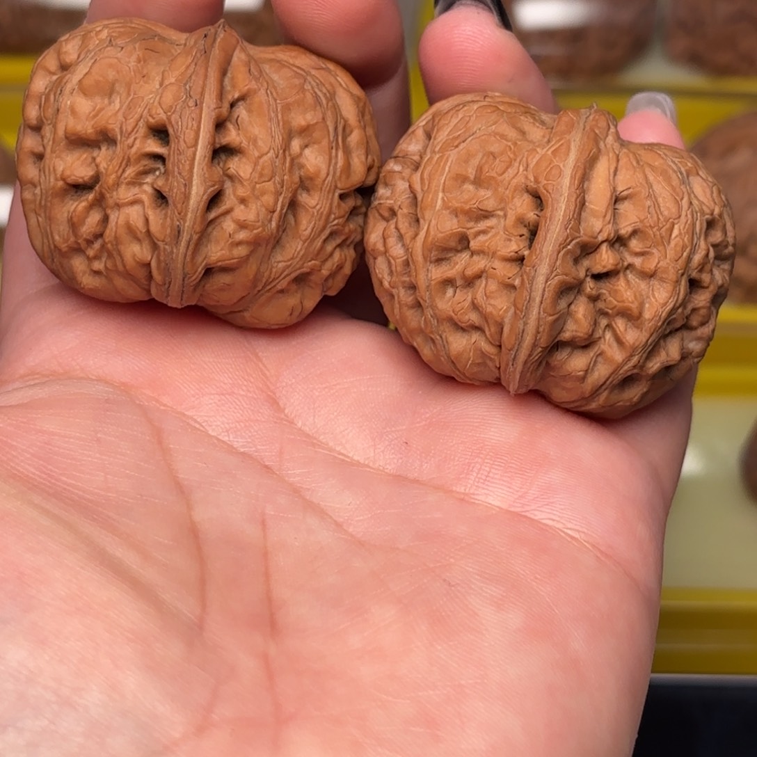 43 尺全品无修红皮元宝