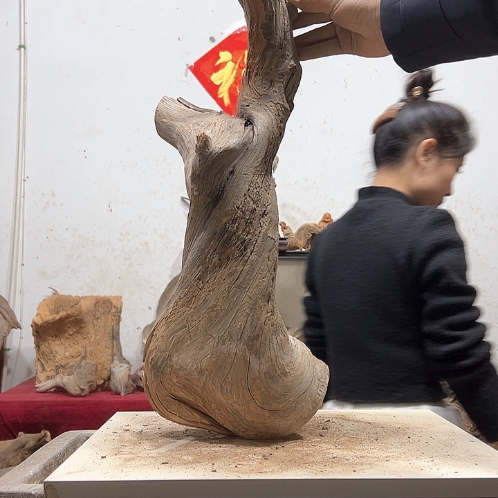 柏木风**浪我们的生活也是