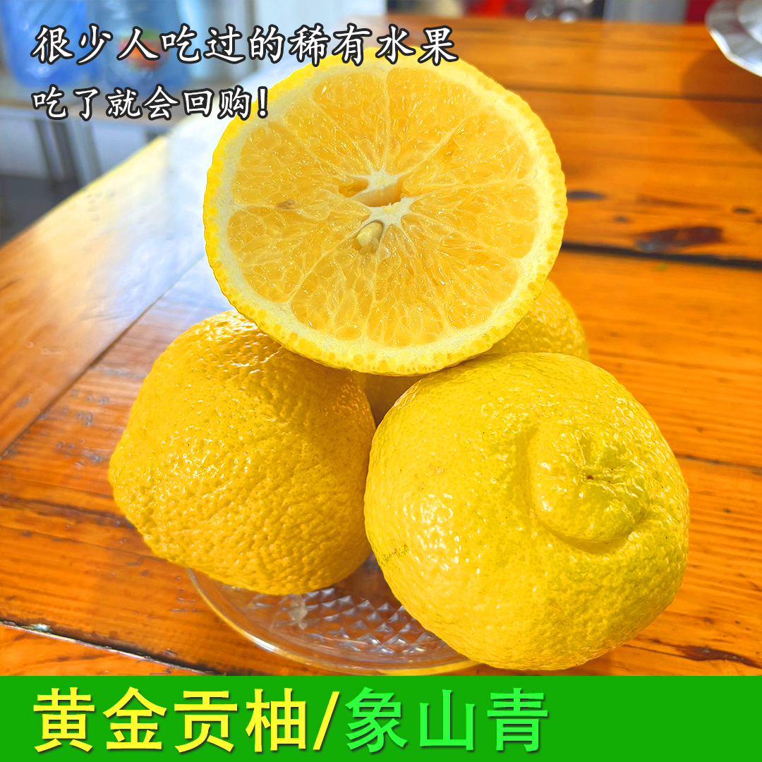 湘西岩龙黄金贡柚纯甜象山青现摘怀化手剥橙清甜多汁新鲜春香产地