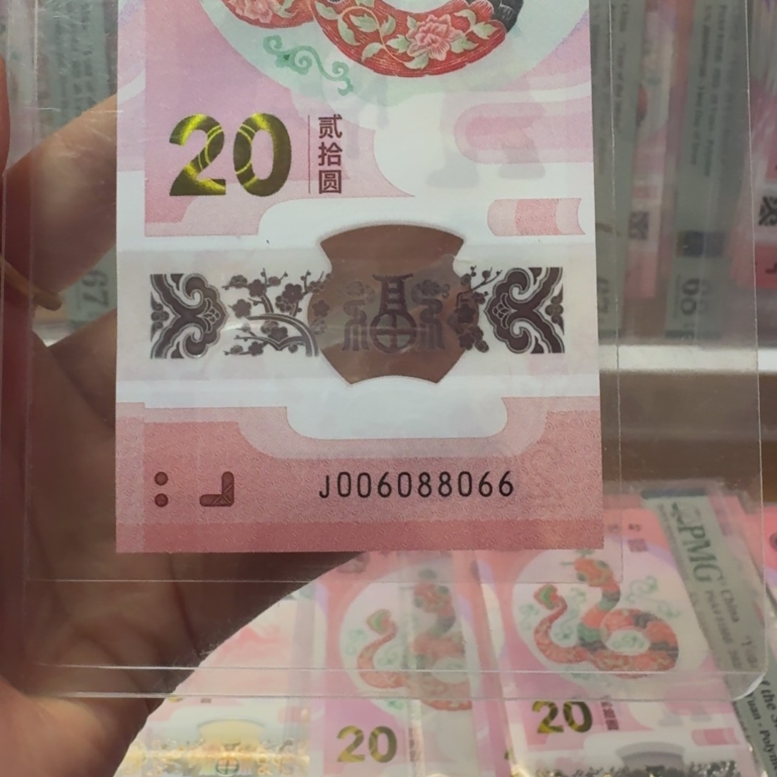 塑料蛇钞J006088066不支持七天无理由