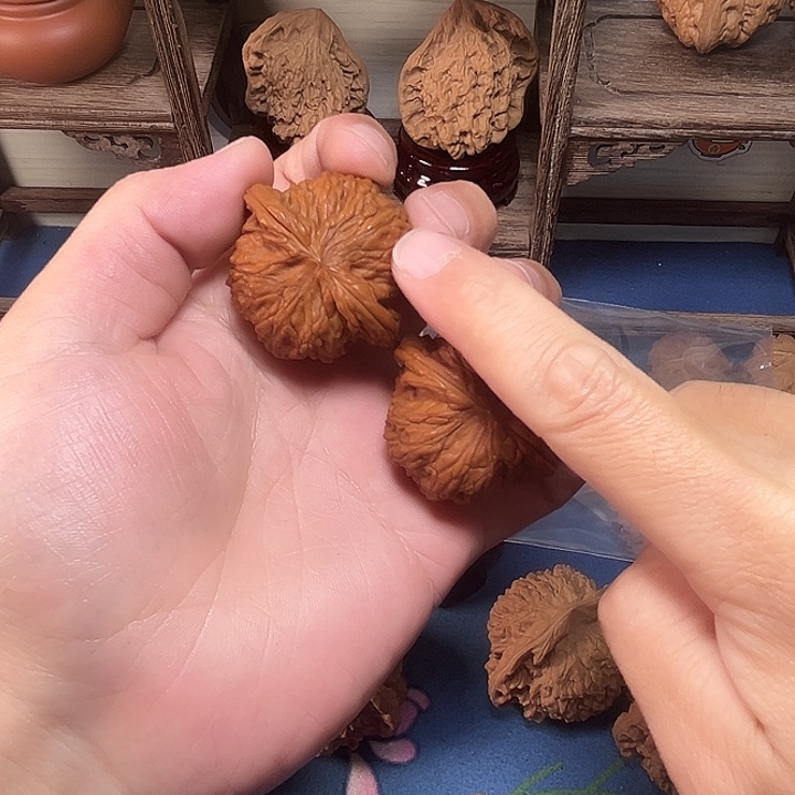 红***星42磨盘磨盘磨盘磨盘