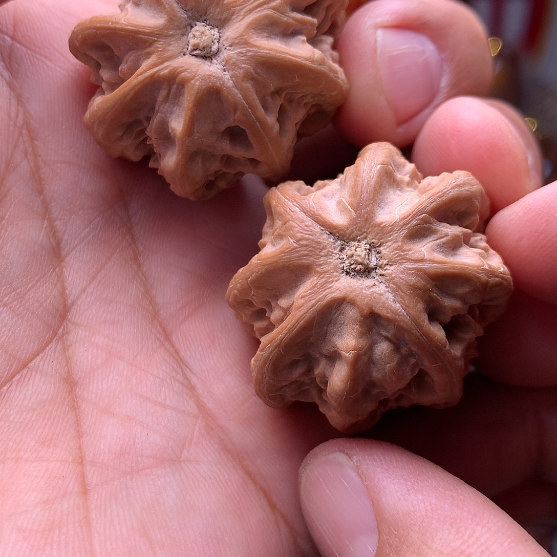 文玩核桃把件东北楸子文玩核桃