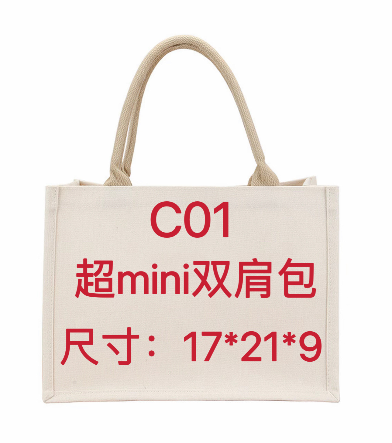 C01号《超迷你双肩包》