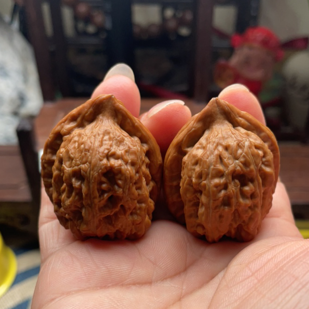 全品无修打底赤龙鸡心边34 高40 肚子35