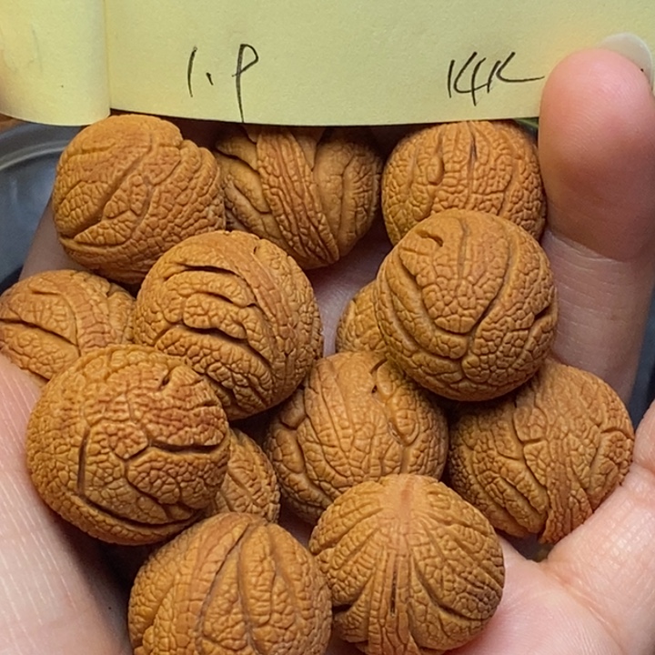 吊坠桃核秦岭龙纹19尺寸