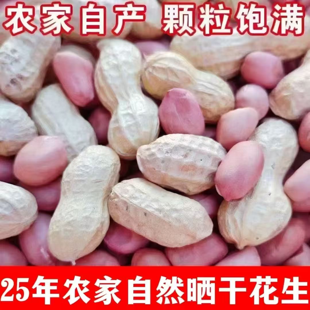 2025年河南正阳新上市带壳白沙干花生5斤3斤